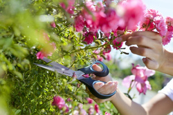 Nożyczki uniwersalne 23 cm ERGO