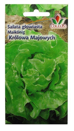 SAŁATA GŁOWIASTA KRÓLOWA MAJOWYCH 2g