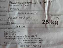 Pszenica ozima Persona nasiona kwalifikat C1