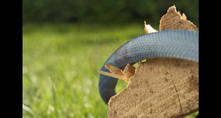 Wąż tekstylny Liano Xtreme 25 m – zestaw