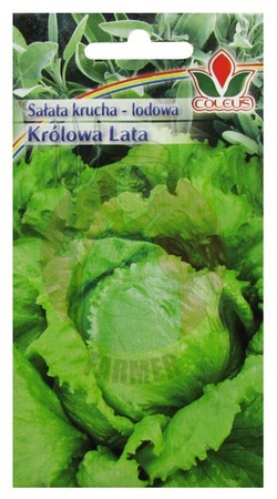 SAŁATA KRÓLOWA LATA 0,5g