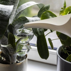 Kula nawadniająca potrójna (trzykomorowa), przezroczysta bezbarwna, 600 ml (720990)