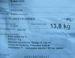 Kukurydza siewna Sulano (DS0419A) kwalifikat C1