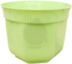 OSŁONKA 15 PISTACJA