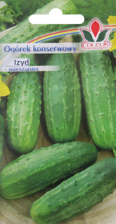 Ogórek konserwowy Izyd 5 g nasiona Coleus