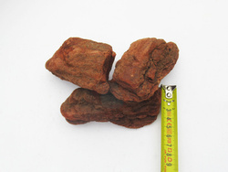 Kora do terrarium 10 L