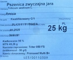 Pszenica jara oścista Patricia nasiona kwalifikat C1