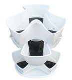 Ziołówka Coubi biała