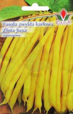 FASOLA SZPARAGOWA ZWYKŁA KARŁOWA ZŁOTA SAXA 50g