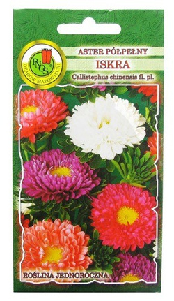ASTER PÓŁPEŁNY ISKRA MIESZANY 0,8g