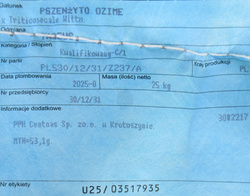 Pszenżyto ozime Tadeus nasiona kwalifikat C1