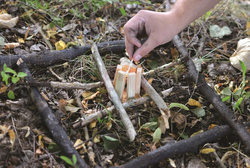 Rozpałka Woodson Eko-ognisko SURVIVAL