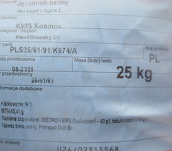 Jęczmień KWS Kosmos