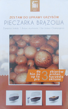 Pieczarka brązowa zestaw do uprawy 3 L
