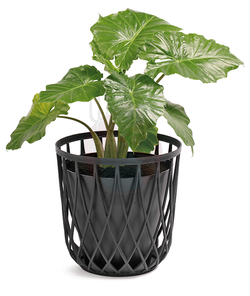 Kosz Uniqubo antracyt