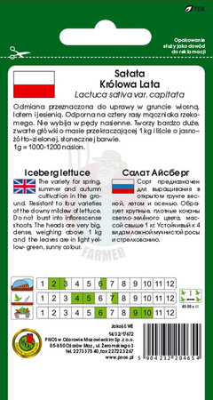 Sałata głowiasta krucha królowa lata 1 g