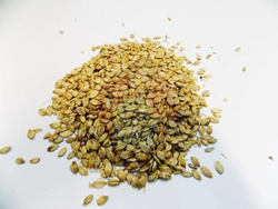 Jęczmień mikronizowany 18/20 kg pasza dla koni