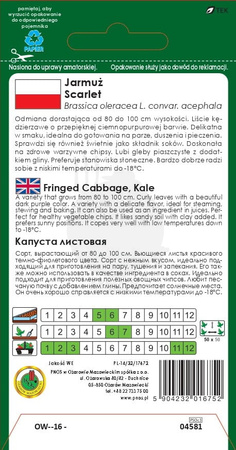 Jarmuż czerwony Scarlet 5 g PNOS