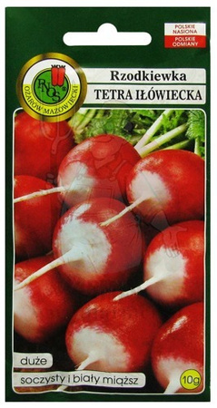RZODKIEWKA TETRA IŁÓWECKA 10g