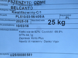 Pszenżyto ozime Belcanto nasiona kwalifikat C1