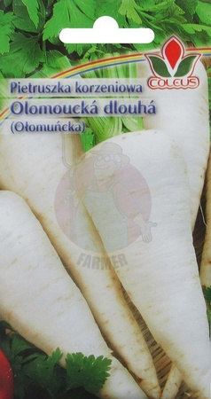 PIETRUSZKA KORZENIOWA  OŁOMUŃCKA 5g