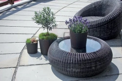 Donica Rato Round 20 umbra