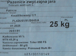 Pszenica jara oścista Patricia nasiona kwalifikat C1