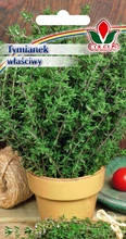 Tymianek właściwy 0,3 g nasiona Coleus