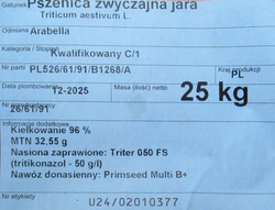 Pszenica Arabella (przewódka)