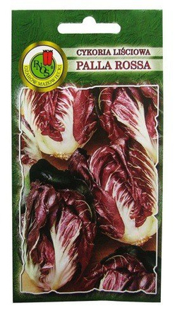 CYKORIA LIŚCIOWA PALLA ROSSA 0,5g