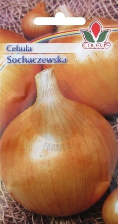 Cebula Sochaczewska 5 g