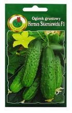 OGÓREK GRUNTOWY HERMES SKIERNIEWICKI F1 5g