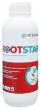 Rootstar 1 L Intermag