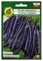 FASOLA SZPARAGOWA PURPLE TEEPEE 30g