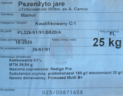 Pszenżyto jare Mamut kwalifikat C1