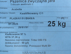 Pszenica Arabella (przewódka)