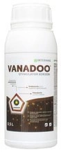 Vanadoo 0,5 L Intermag