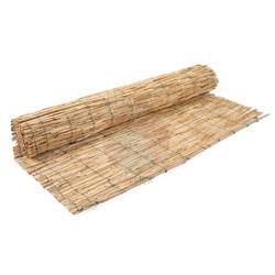 Parawan z trzciny 100x300 cm