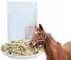 Musli Hodowla 20 kg pasza dla źrebiąt i klaczy