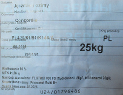 Jęczmień Concordia