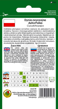 Dynia zwyczajna cukinia Astra Polka 3 g PNOS