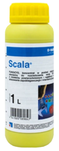 Scala 1 L