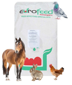 Drożdże paszowe Protecno 25 kg pasza uzupełniająca dla zwierząt