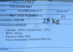 Pszenżyto ozime Comodoro nasiona kwalifikat C1