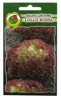SAŁATA LIŚCIOWA LOLLO ROSSA 1g