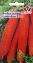 Marchew jadalna Amsterdam 3 nasiona 5 g Coleus