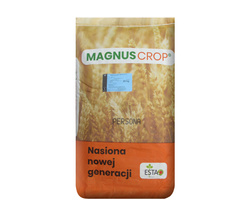 Pszenica ozima Persona nasiona kwalifikat C1