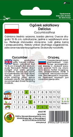 Ogórek gruntowy Delicius 5 g