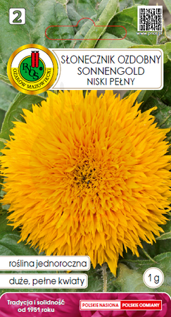 Słonecznik ozdobny niski żółty Sonnengold 1 g PNOS
