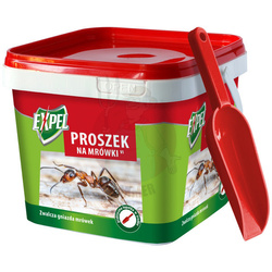 Proszek na mrówki 700 g